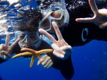 沖縄青の洞窟ダイビングショップ【マリンクラブクレアブログ】