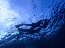 沖縄青の洞窟ダイビングショップ【マリンクラブクレアブログ】