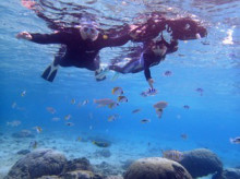 沖縄青の洞窟ダイビングショップ【マリンクラブクレアブログ】