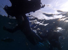 沖縄青の洞窟ダイビングショップ【マリンクラブクレアブログ】