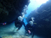 沖縄青の洞窟ダイビングショップ【マリンクラブクレアブログ】