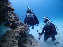 沖縄青の洞窟ダイビングショップ【マリンクラブクレアブログ】