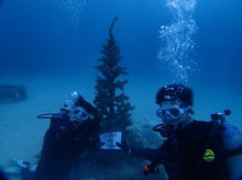 沖縄青の洞窟ダイビングショップ【マリンクラブクレアブログ】