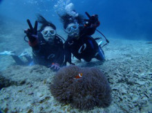 沖縄青の洞窟ダイビングショップ【マリンクラブクレアブログ】