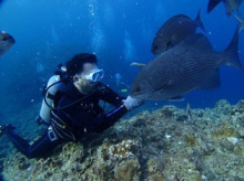 沖縄青の洞窟ダイビングショップ【マリンクラブクレアブログ】