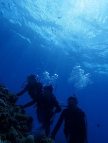 沖縄青の洞窟ダイビングショップ【マリンクラブクレアブログ】