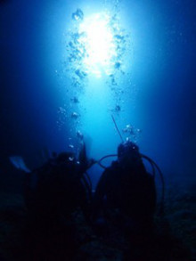 沖縄青の洞窟ダイビングショップ【マリンクラブクレアブログ】