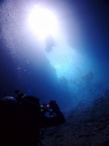 沖縄青の洞窟ダイビングショップ【マリンクラブクレアブログ】