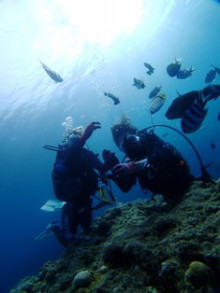 沖縄青の洞窟ダイビングショップ【マリンクラブクレアブログ】