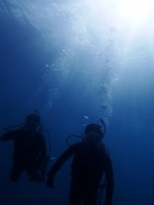 沖縄青の洞窟ダイビングショップ【マリンクラブクレアブログ】