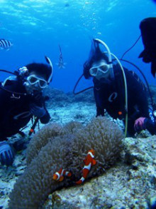 沖縄青の洞窟ダイビングショップ【マリンクラブクレアブログ】