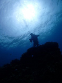 沖縄青の洞窟ダイビングショップ【マリンクラブクレアブログ】