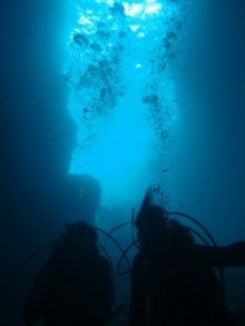 沖縄青の洞窟ダイビングショップ【マリンクラブクレアブログ】