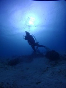 沖縄青の洞窟ダイビングショップ【マリンクラブクレアブログ】