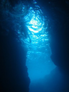 沖縄青の洞窟ダイビングショップ【マリンクラブクレアブログ】