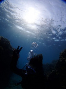 沖縄青の洞窟ダイビングショップ【マリンクラブクレアブログ】