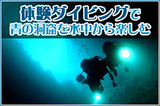 体験ダイビングで青の洞窟を水中から楽しむ
