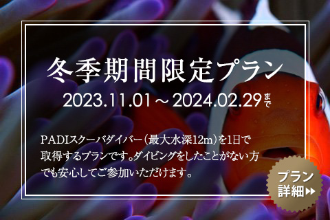 冬季期間限定プラン