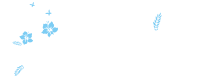 沖縄 青の洞窟　ダイビングショップ　MARINE CLUB CREA HOME