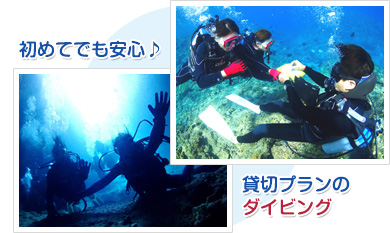 青の洞窟 体験ダイビング ダイビングショップ Marine Club Crea