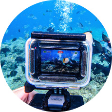水中写真&動画