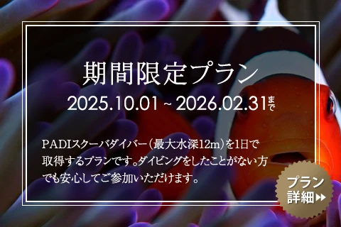 期間限定プラン