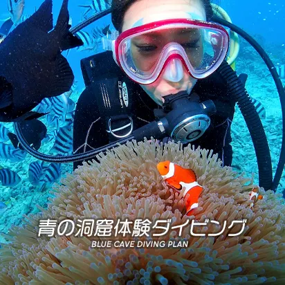 青の洞窟　体験ダイビング